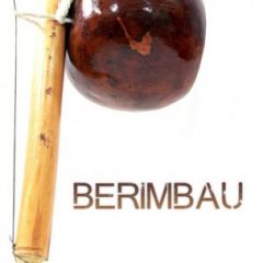 دانلود وی اس تی پرکاشن ۸dio Berimbau Percussion WAV KONTAKT