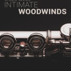 دانلود وی اس تی بادی چوبی ۸dio Intimate Studio Woodwinds KONTAKT
