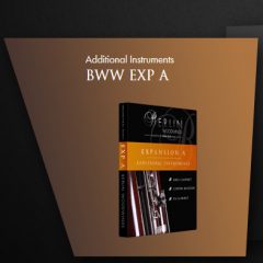 دانلود وی اس تی بادی چوبی Berlin Woodwinds EXP A Additional Instruments v2.1 KONTAKT