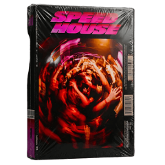 دانلود پریست Loopsy Speed House for Serum 2 Presets MiDi