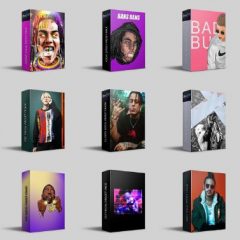 دانلود پک پریست وکال TheWavMan Vocal Preset Chains Bundle FL STUDiO PROJECTS