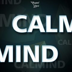 دانلود پکیج لوپ و سمپل آر اند بی  Regal Loops Calmind WAV, MiDi