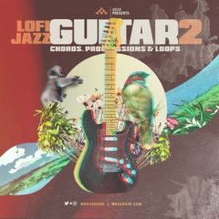 دانلود پکیج لوپ گیتار MSXII Lofi Jazz Guitar 2 WAV