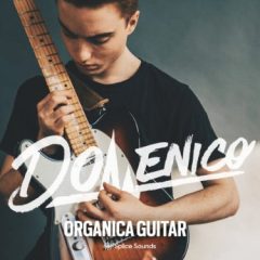 دانلود پکیج لوپ گیتار الکتریک Splice Sounds DOMENICO: Organica Guitar WAV