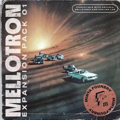 دانلود پکیج Minta Foundry Mellotron Expansion Pack 01 Arturia Mellotron + Analog Lab 4