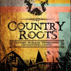 دانلود پکیج لوپ Big Fish Audio Country Roots WAV