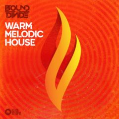 دانلود پکیج لوپ Black Octopus Warm Melodic House by Bound To Divide WAV MiDi Presets
