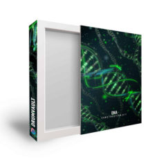 دانلود پکیج لوپ DrumVault Drew Taylor Dna Construction Kit Deluxe Edition WAV MiDi FST