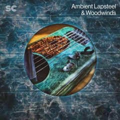 دانلود پکیج لوپ Sonic Collective Ambient Lapsteel and Woodwinds WAV