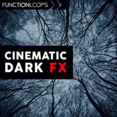 دانلود پکیج لوپ فضاسازی Function Loops Cinematic Dark FX WAV