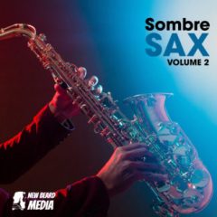 دانلود لوپ ساکسوفون New Beard Media Sombre Sax Vol 2 WAV