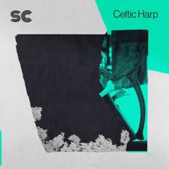 دانلود پکیج لوپ هارپ Sonic Collective Celtic Harp MULTiFORMAT