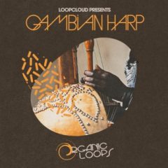 دانلود پکیج لوپ کورا Organic Loops Gambian Harp WAV