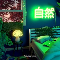دانلود پکیج لوپ هیپ هاپ Capsun ProAudio Lofi By Nature WAV