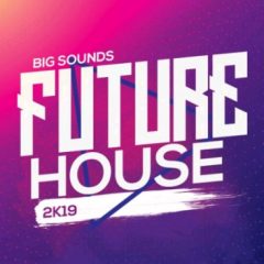 دانلود پکیج لوپ و سمپل Big Sounds Future House 2K19 WAV MIDi Serum Presets