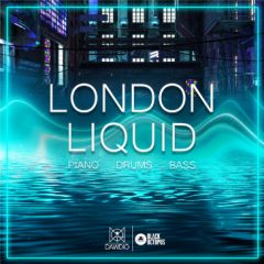 دانلود پکیج لوپ و سمپل Black Octopus Sound Dawdio: London Liquid WAV MIDI