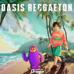 دانلود پکیج لوپ و سمپل Dropgun Samples Oasis Reggaeton WAV