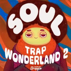 دانلود پکیج لوپ و سمپل ترپ Dropgun Samples Soul Trap Wonderland 2 WAV SERUM