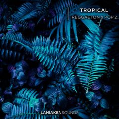 دانلود پکیج لوپ و سمپل Laniakea Sounds Tropical Reggaeton And Pop 2 WAV