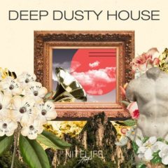 دانلود پکیج لوپ و سمپل NITELIFE Audio Deep Dusty House WAV