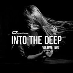 دانلود پکیج لوپ و سمپل Reveal Sound Into The Deep Vol.2 for Spire WAV MiDi