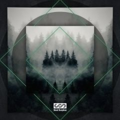 دانلود پکیج لوپ و سمپل Soul Surplus Earth Tone WAV