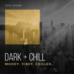 دانلود پکیج لوپ و سمپل درام That Sound Dark And Chill WAV