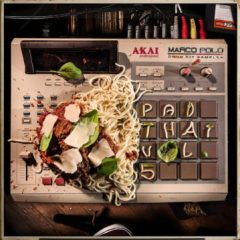 دانلود پکیج لوپ و سمپل هیپ هاپ کلاسیک Marco Polo Pad Thai Vol.5 WAV