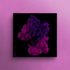 دانلود پکیج لوپ و سمپل وکال DopeBoyzMusic Purple Clouds Vocal Library 2 WAV