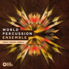 دانلود پکیج لوپ و سمپل پرکاشن Black Octopus Sound World Percussion Ensemble WAV