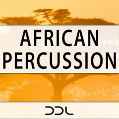 دانلود پکیج لوپ و سمپل پرکاشن Deep Data Loops African Percussion WAV