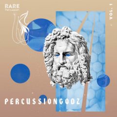 دانلود پکیج لوپ و سمپل پرکاشن RARE Percussion PercussionGodz Vol. 1 WAV