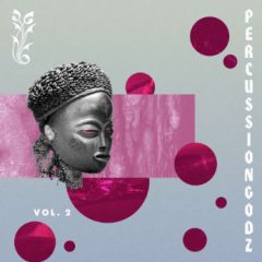 دانلود پکیج لوپ و سمپل پرکاشن RARE Percussion PercussionGodz Vol. 2 WAV