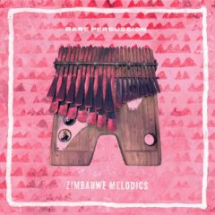 دانلود پکیج لوپ و سمپل پرکاشن RARE Percussion Zimbabwe Melodics WAV