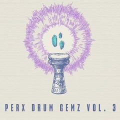 دانلود پکیج لوپ و سمپل پرکاشن هیپ هاپ RARE Percussion Perx Drum Gemz Vol. 3 WAV