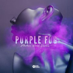 دانلود پکیج لوپ وکال Black Octopus Sound Purple Fog Modern Soul Vocals WAV