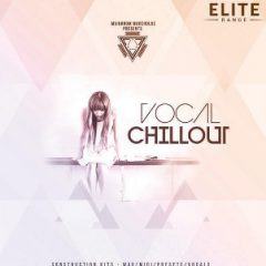 دانلود پکیج لوپ وکال Mainroom Warehouse Vocal Chillout MULTiFORMAT