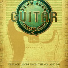 دانلود پکیج لوپ گیتار Big Fish Audio Vintage Guitar Loops WAV