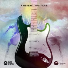 دانلود پکیج لوپ گیتار Black Octopus Sound Ambient Guitars WAV