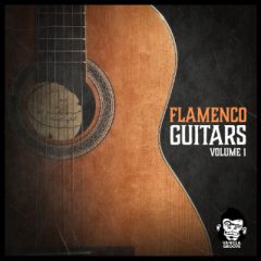 دانلود پکیج لوپ گیتار Vanilla Groove Studios – Flamenco Guitars Vol.1 WAV